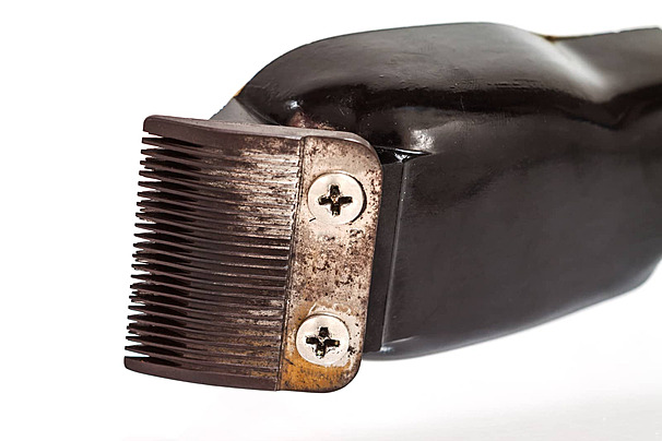 Shave but no&nbsp;haircut